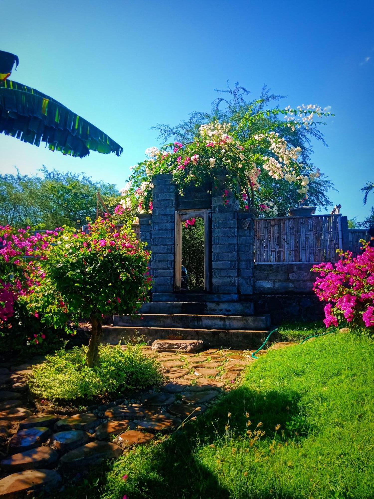 Umah Kayu 2-Menjangan Homestay Banyuwedang Esterno foto